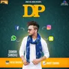 About DP Song