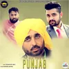 About The Real Tiger Of Punjab Song