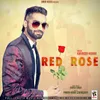 About Red Rose Song