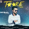 About Taare (the Stars) Song