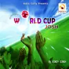 About World Cup Hum Ne He Layana Song