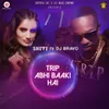 About Trip Abhi Baaki Hai Song