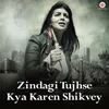 About Zindagi Tujhse Kya Karen Shikvey Song