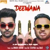 About Deewana Song