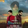 About Bhulekhe Song