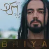 About Briya Song