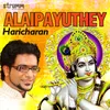 About Alaipayuthey Song