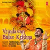 About Vrindavan Bulao Krishna Song