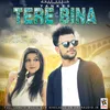 About Tere Bina Song