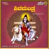 Vishweshwara