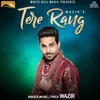 About Tere Rang Song