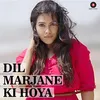 Dil Marjane Ki Hoya