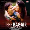 About TERE BAGAIR Song