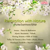 About Relaxation With Nature Song