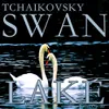 Swan Lake Ballet, Op. 20, Act 2: III. Dance of the Queen of Swans