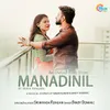 Manadinil