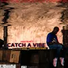 About Catch a Vibe Song