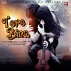 About Tere Bina Song