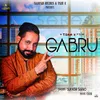 About Gabru Song