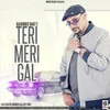 Teri Meri Gal