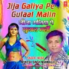 About Jija Galiya Pe Gulaal Malin Song