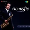 About Acoustic Fusion Bliss by Raghav Sachar Song