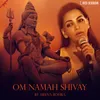 Om Namah Shivay