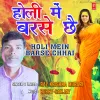 About Holi Mein Barse Chhai Song