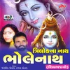 About Avinasi Sukhkari Jagdish Samurudoni Jaykar Song