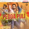 About Pedda Puli Song