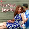 About Teri Yaad Jaye Na Song
