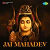 Om Jai Jai Mahadev