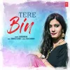 About Tere Bin Song