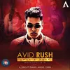 About AVID RUSH Song