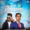 About Tera Hi Deewana Song