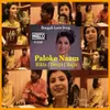 About Paloke Naam Song