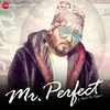 About Mr. Perfect Song