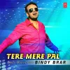 About Tere Mere Pal Song
