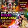 About Tuze Charanacha Gulal Bhandara Song