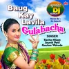 Khanivade Gavamadhi Baug Kay Lavila Gulabacha Remix