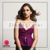 About Zindagi Hai Song