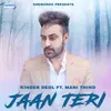 About Jaan Teri Song