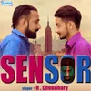 About Sensor Song