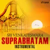 About Sri Venkateswara Suprabhatam - Instrumental Song