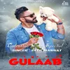About Gulaab Song