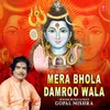 About Mera Bhola Damroo Wala Song