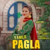 About Yamla Pagla Song