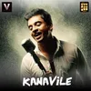 About Kanavilae Song