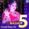 About Vivah Geet Mashup - 5 Song