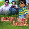 About Dost Tere Jaisa Song